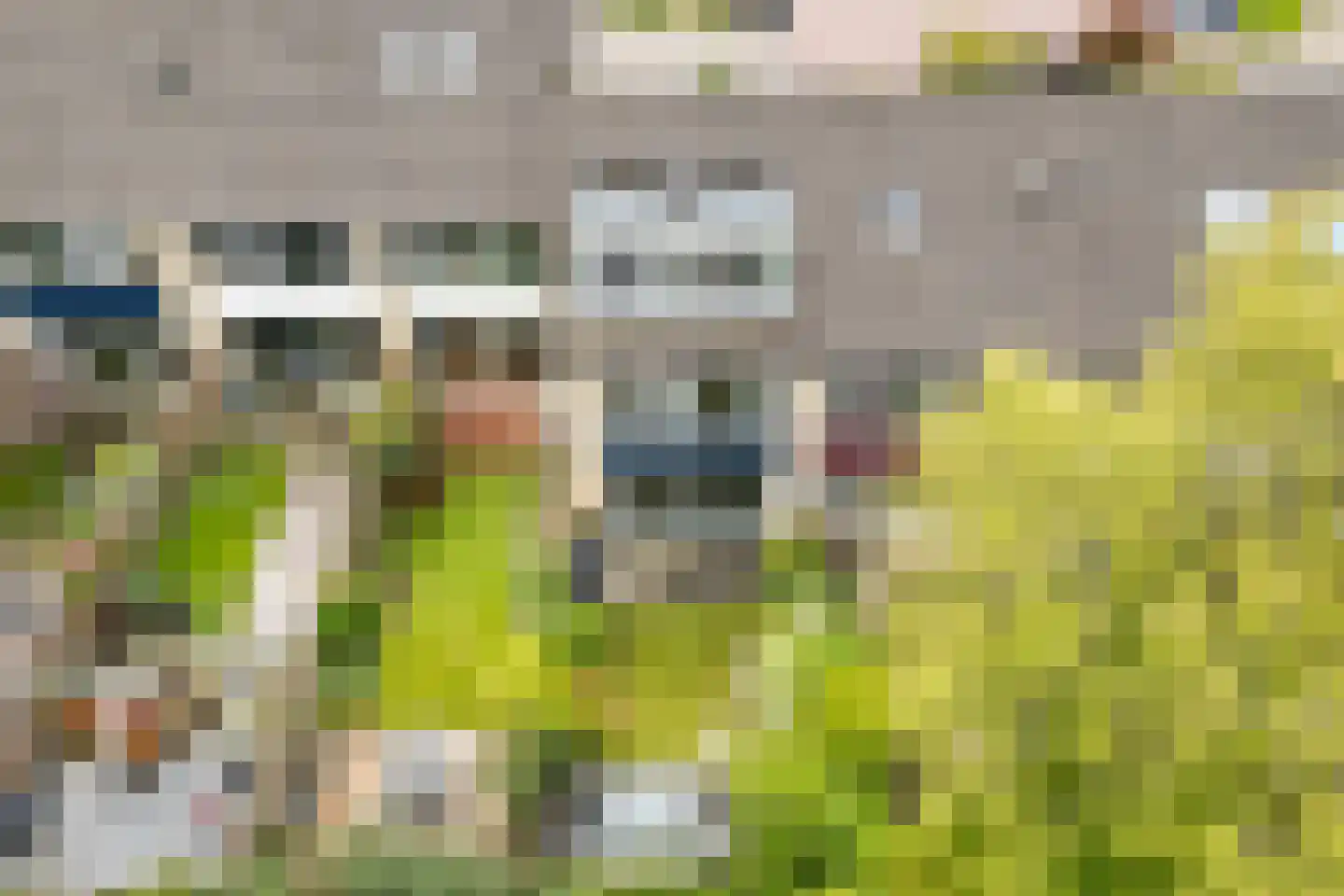 Speenkruid 19 Leeuwarden thumbnail 44