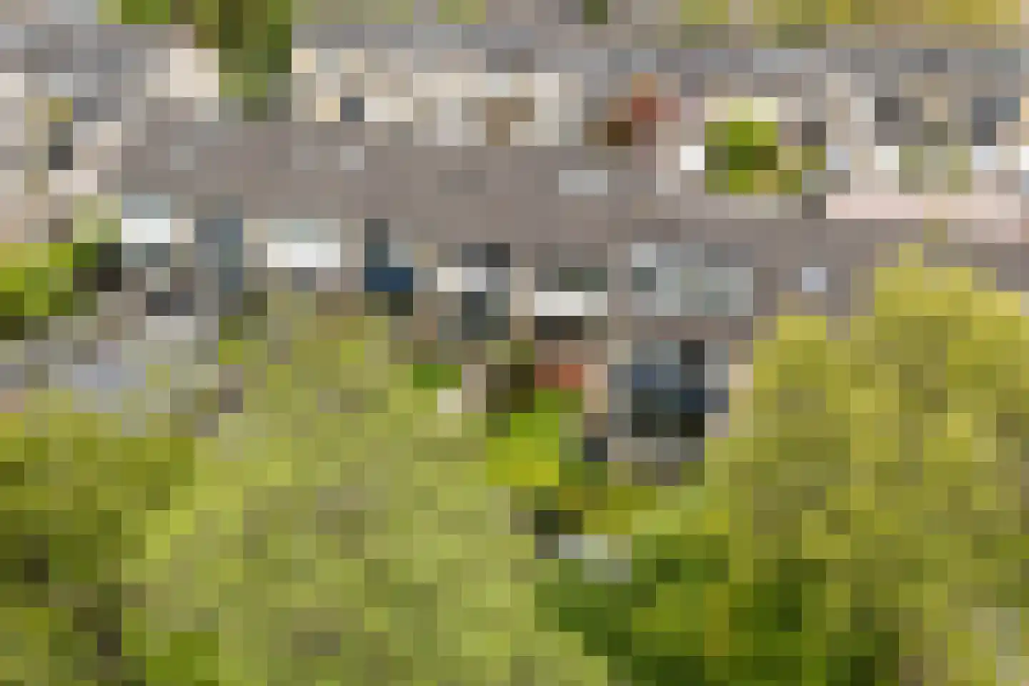 Speenkruid 19 Leeuwarden thumbnail 46