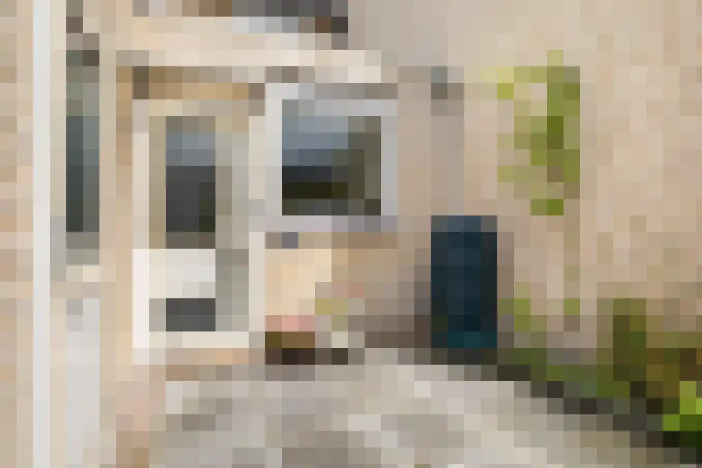Speenkruid 19 Leeuwarden thumbnail 8