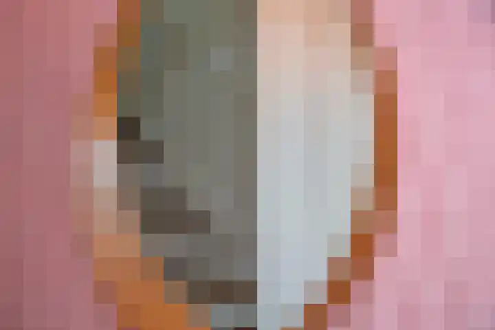 Speenkruid 2 Rijssen thumbnail 15