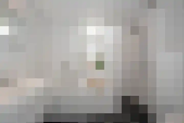 Speenkruid 2 Rijssen thumbnail 19