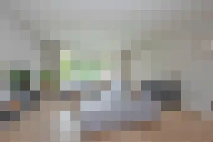 Speenkruid 2 Rijssen foto 2