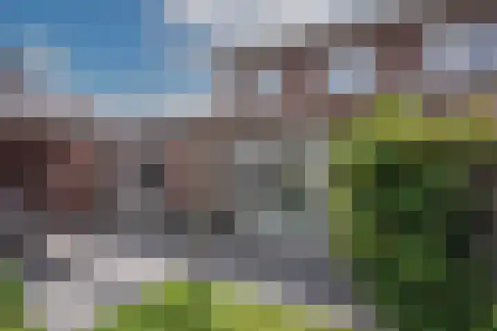 Speenkruid 2 Rijssen thumbnail 26