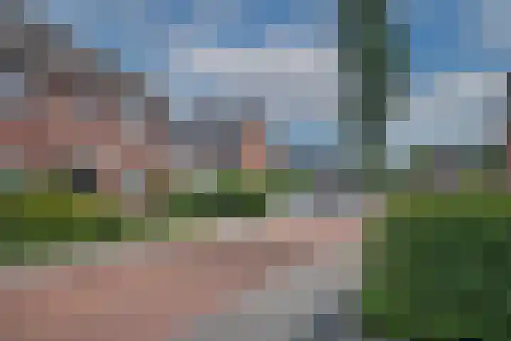 Speenkruid 2 Rijssen thumbnail 27