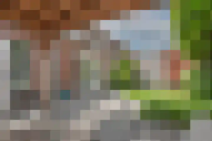 Speenkruid 2 Rijssen thumbnail 29