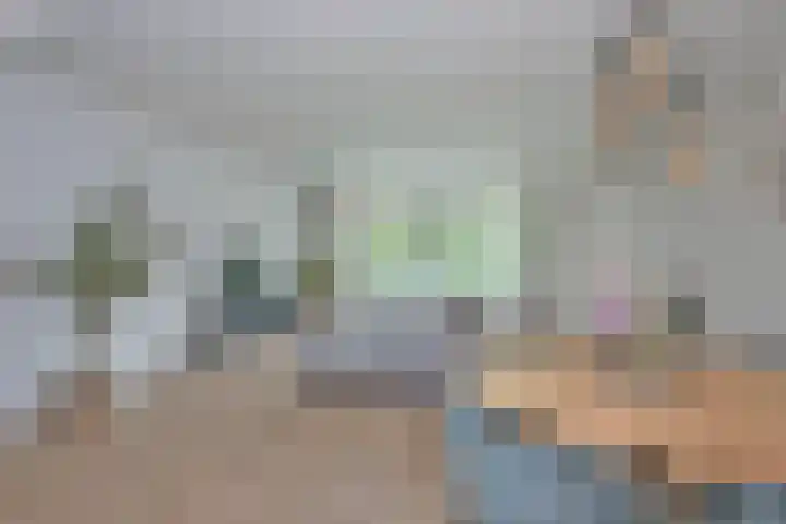 Speenkruid 2 Rijssen foto 3
