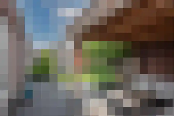 Speenkruid 2 Rijssen thumbnail 30