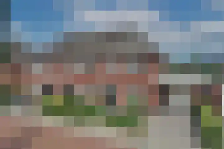 Speenkruid 2 Rijssen thumbnail 32