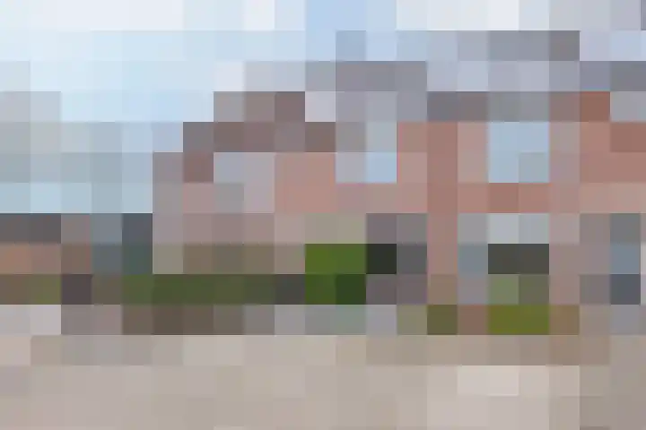 Speenkruid 22 in Beilen