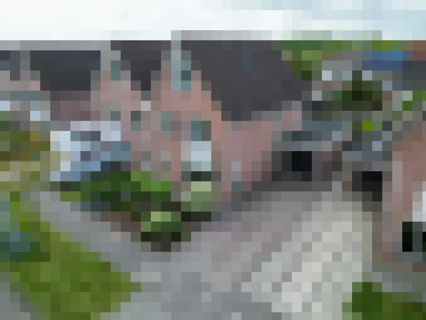 Speenkruid 23 Bedum thumbnail 11