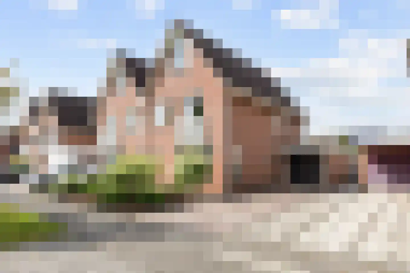 Speenkruid 23 Bedum thumbnail 12