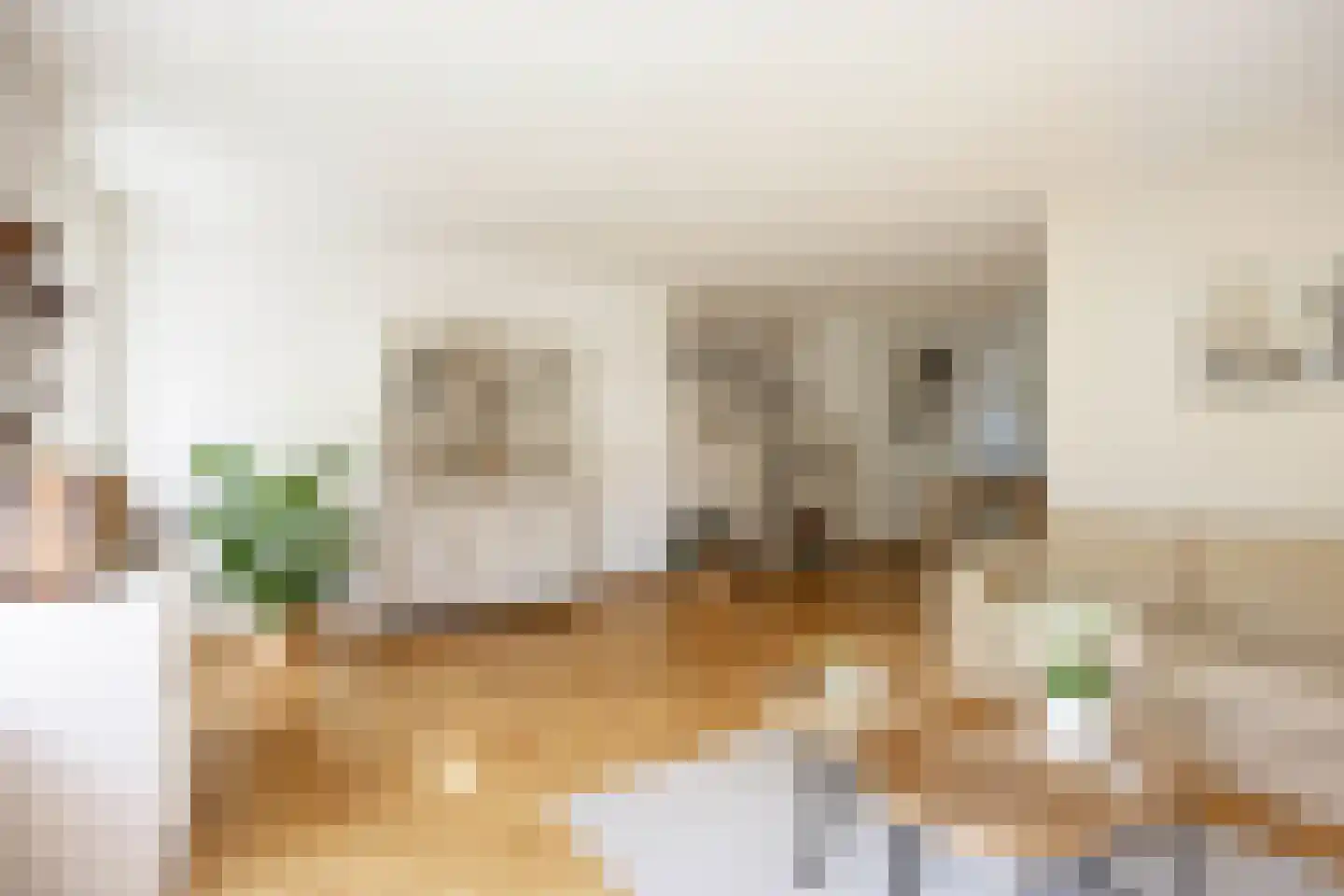Speenkruid 23 Bedum thumbnail 20