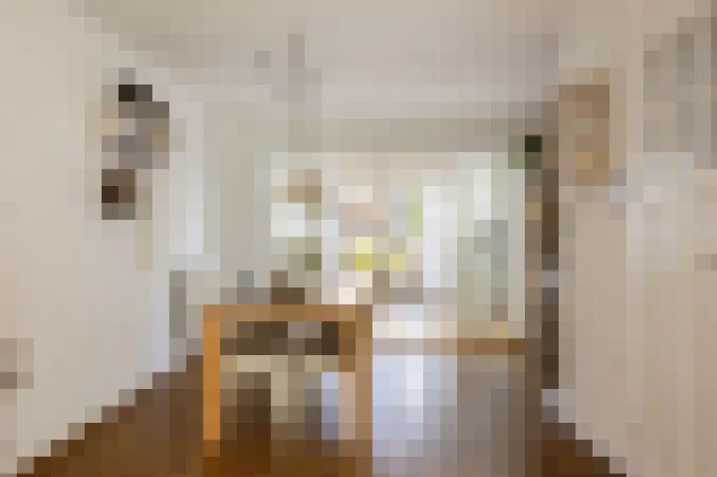 Speenkruid 23 Bedum thumbnail 22