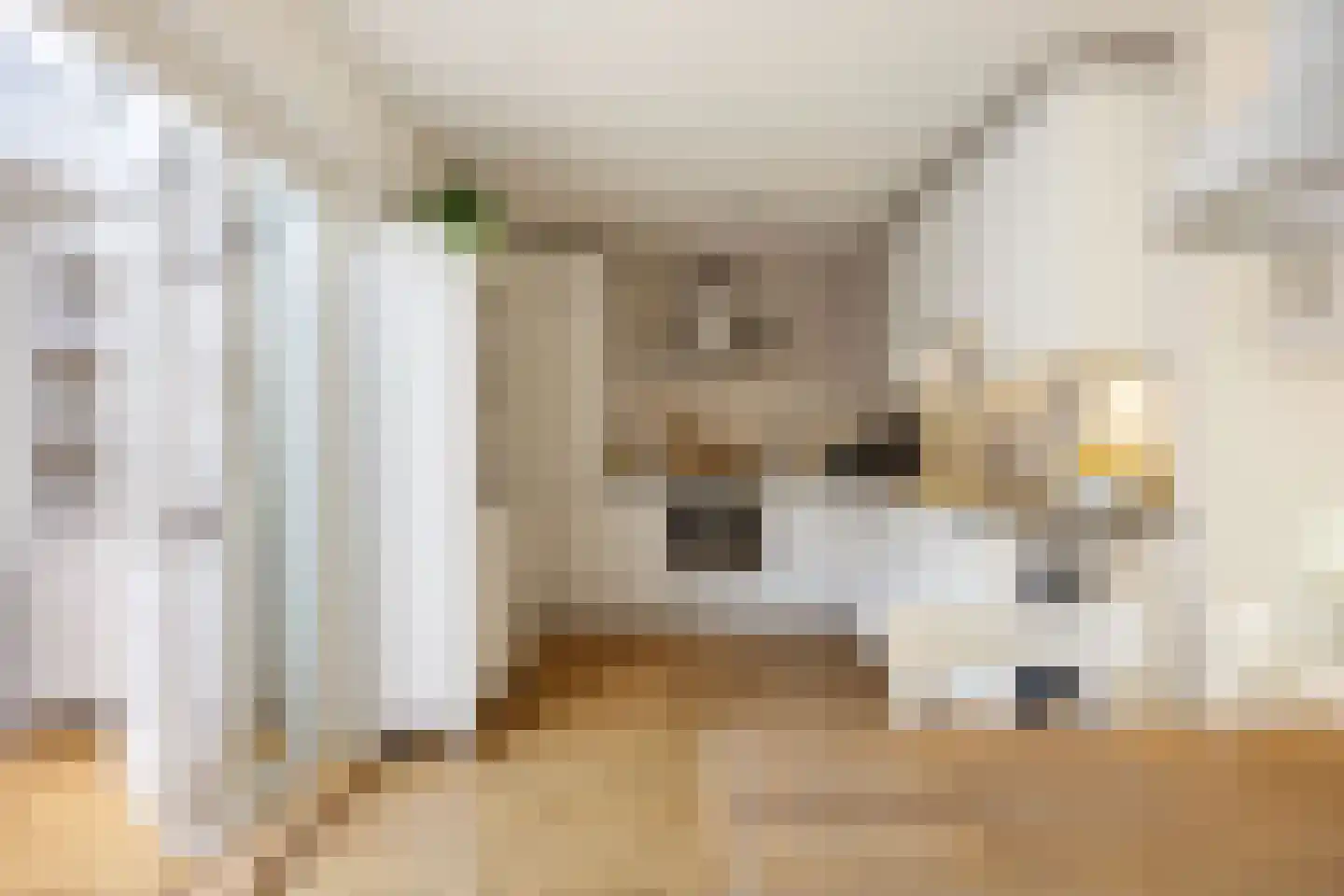 Speenkruid 23 Bedum thumbnail 23