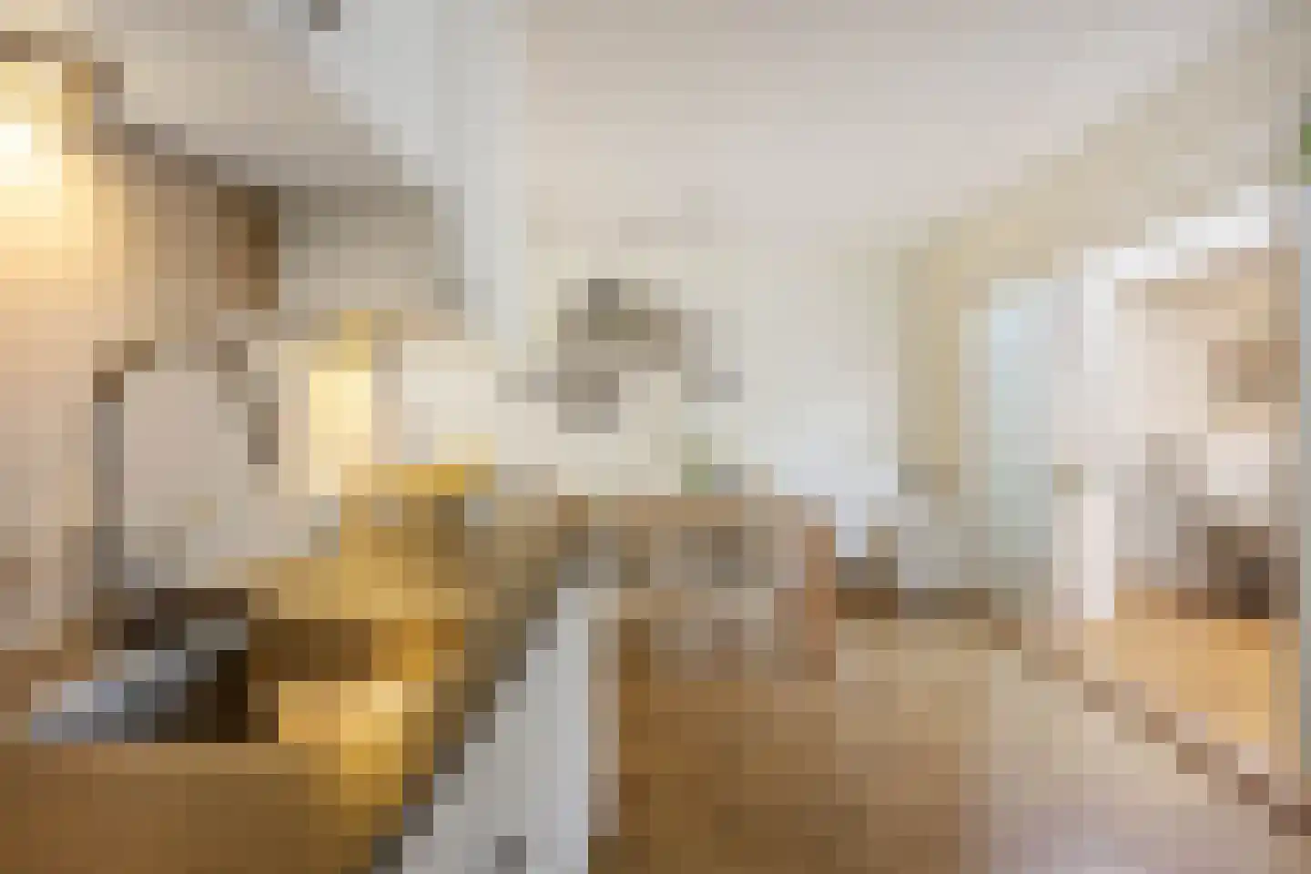 Speenkruid 23 Bedum thumbnail 26
