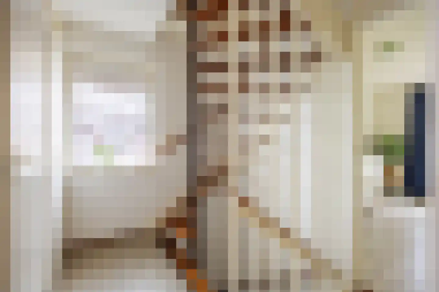 Speenkruid 23 Bedum thumbnail 33