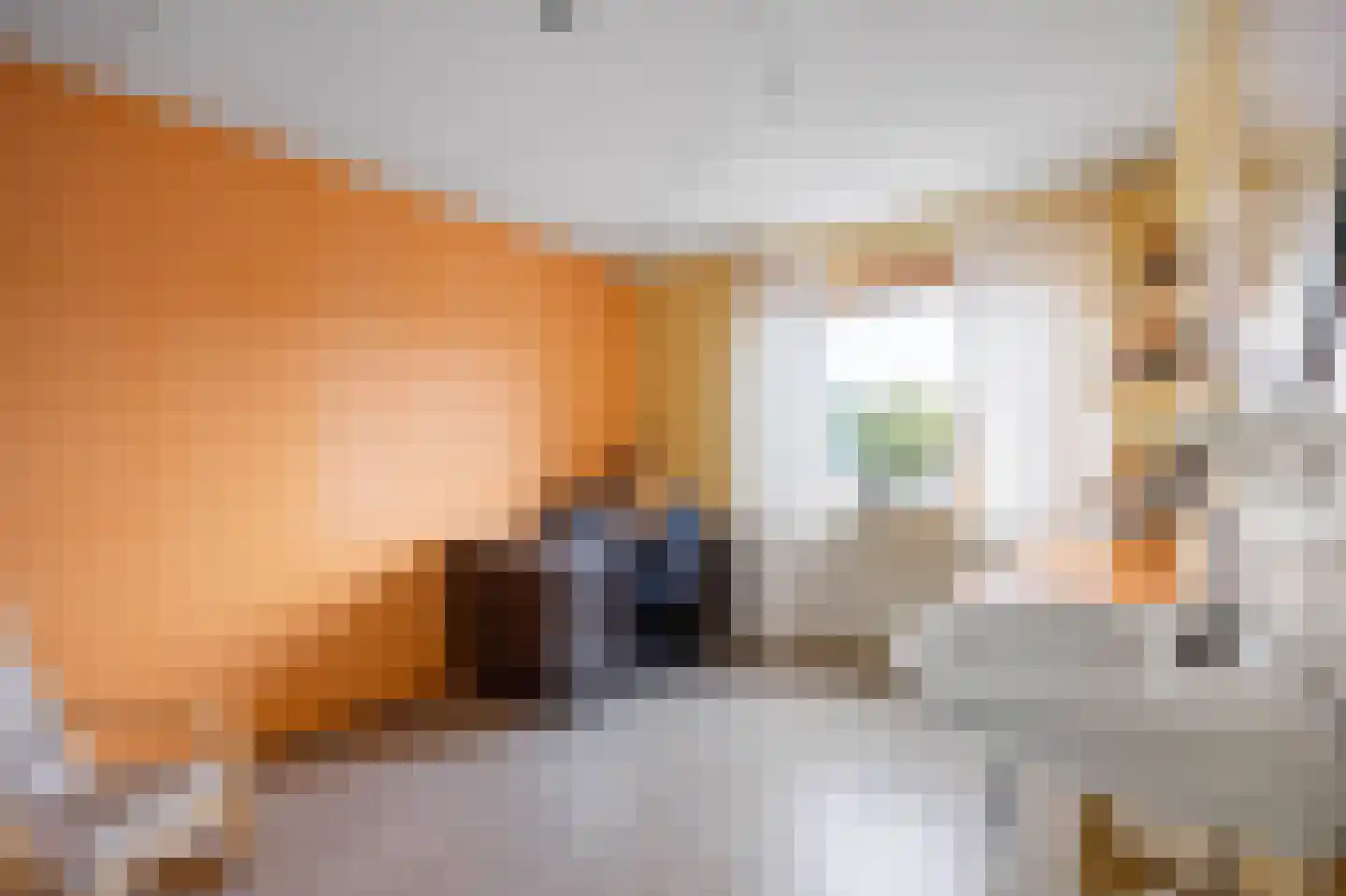 Speenkruid 23 Bedum thumbnail 36