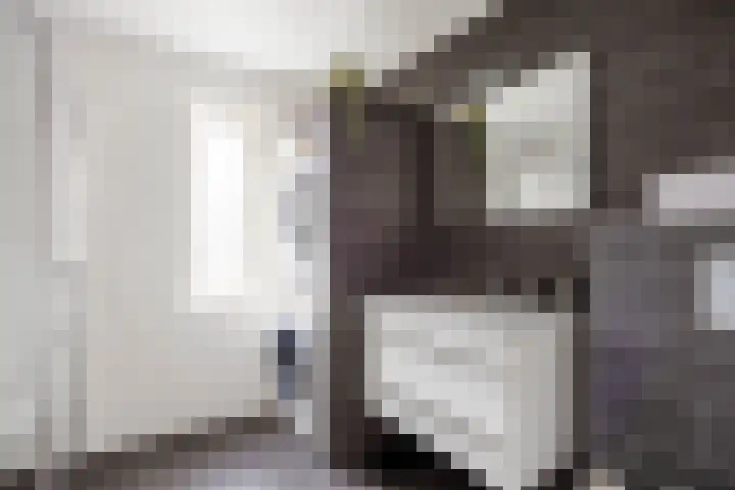 Speenkruid 23 Bedum thumbnail 41