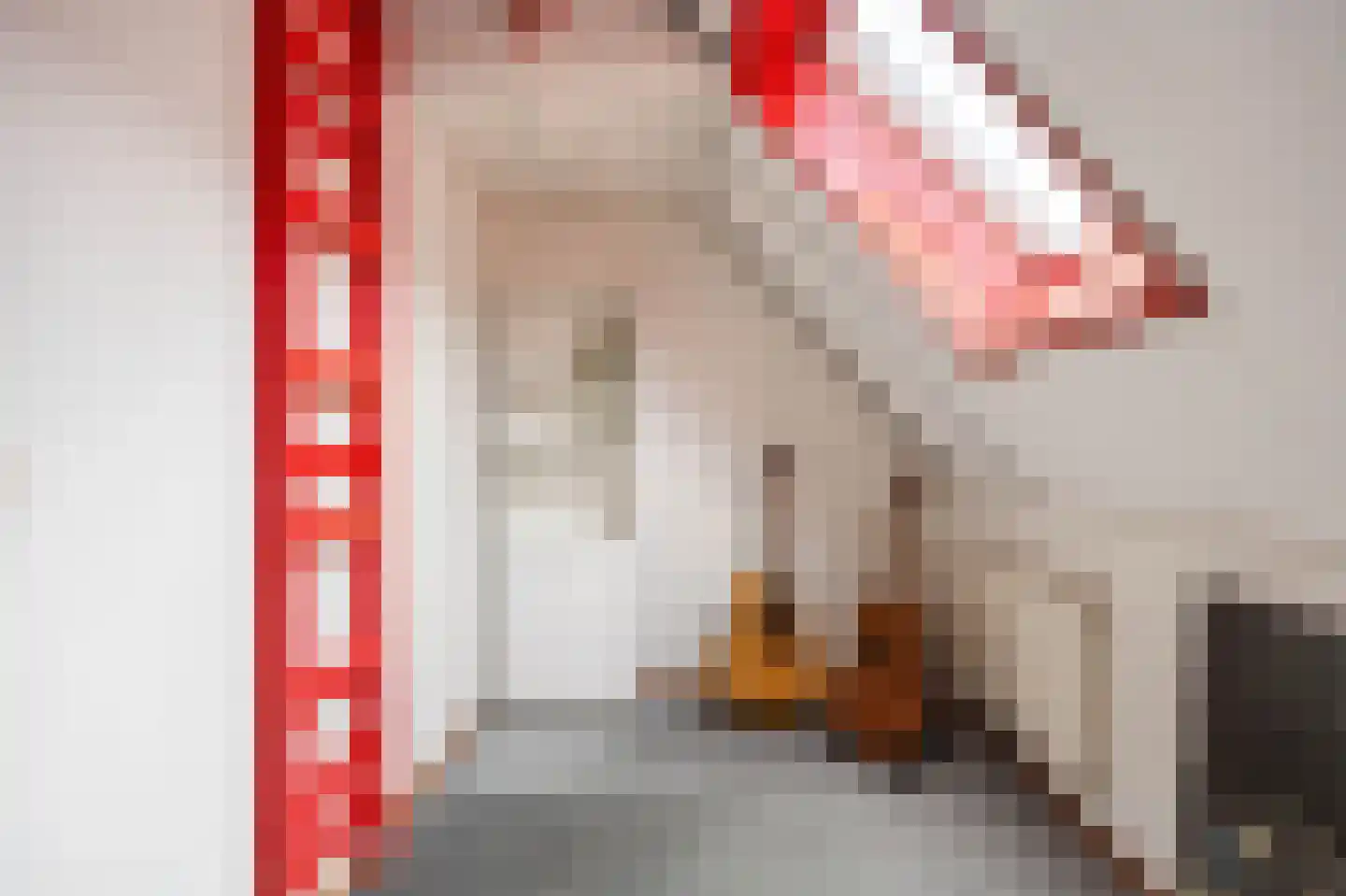 Speenkruid 23 Bedum thumbnail 47