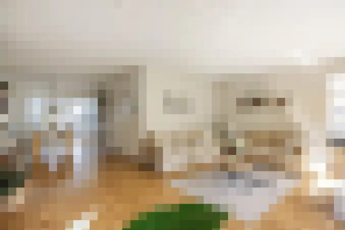 Speenkruid 23 Bedum thumbnail 5