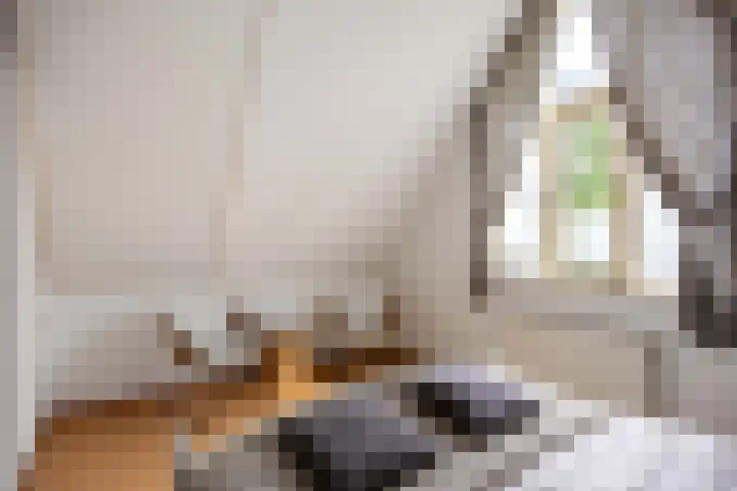 Speenkruid 23 Bedum thumbnail 50