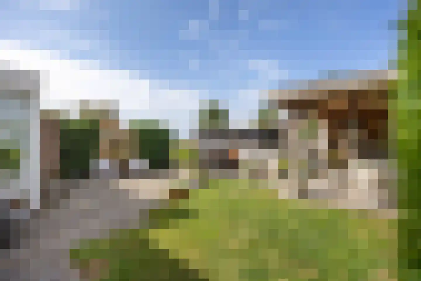 Speenkruid 23 Bedum thumbnail 51