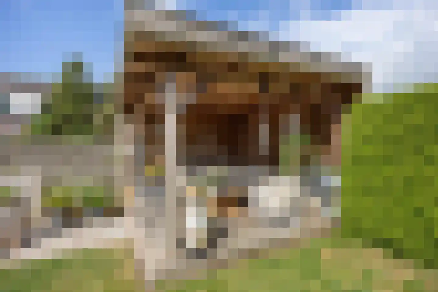 Speenkruid 23 Bedum thumbnail 53