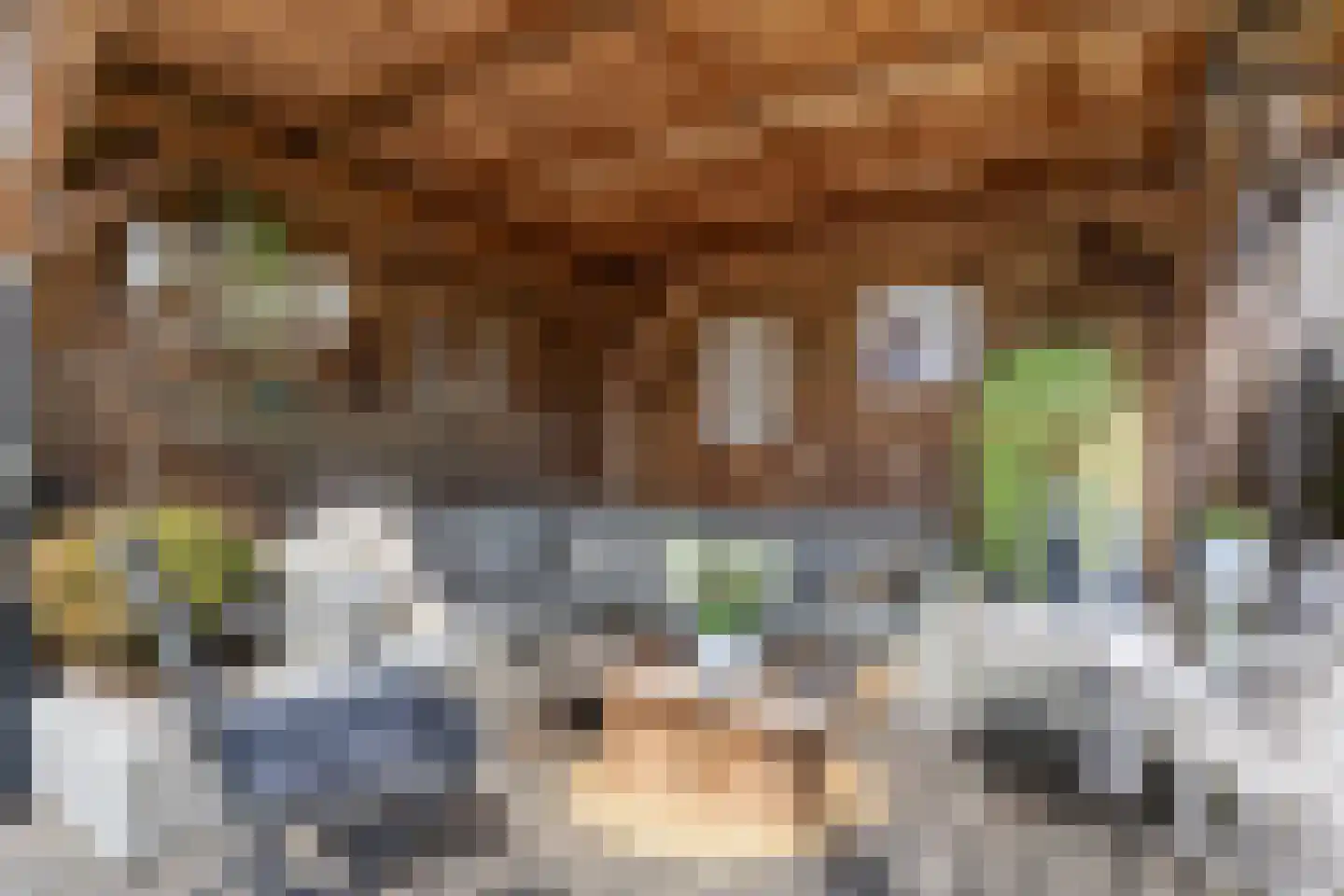 Speenkruid 23 Bedum thumbnail 54