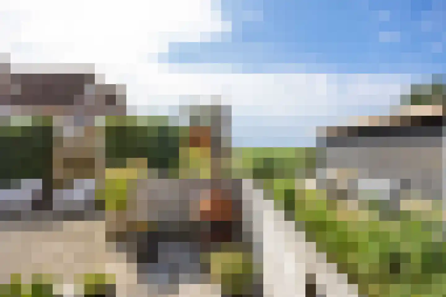 Speenkruid 23 Bedum thumbnail 56