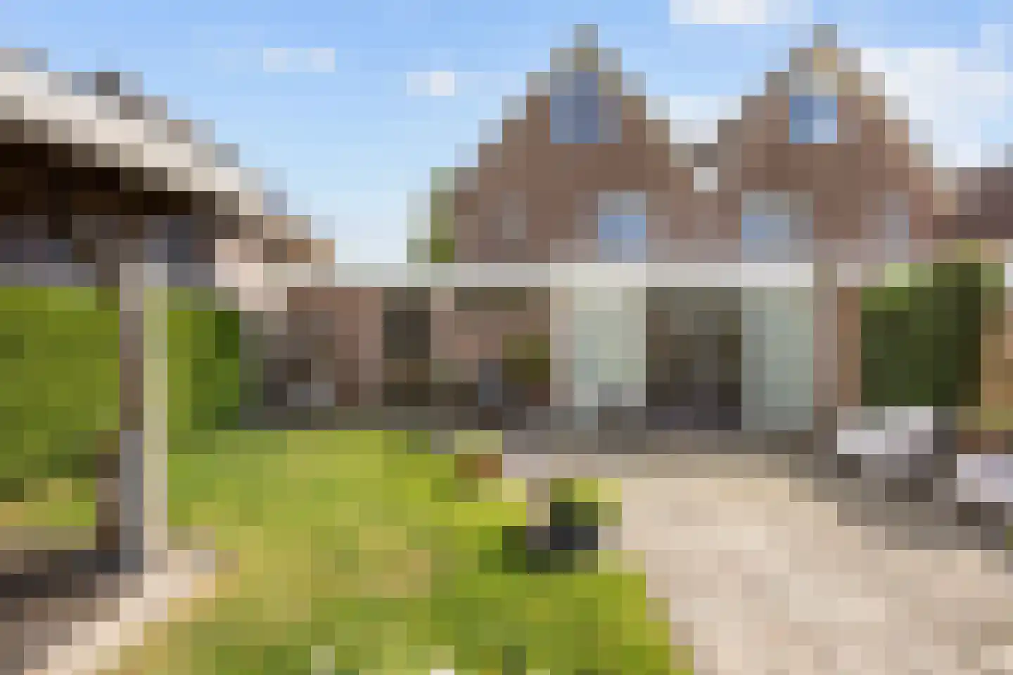 Speenkruid 23 Bedum thumbnail 57