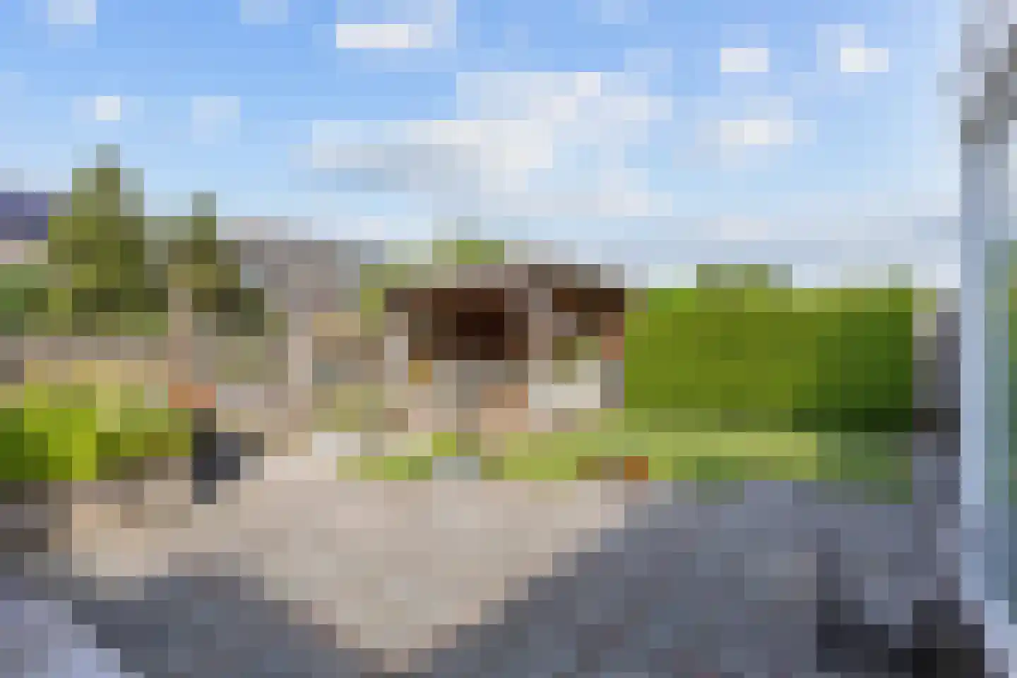 Speenkruid 23 Bedum thumbnail 58