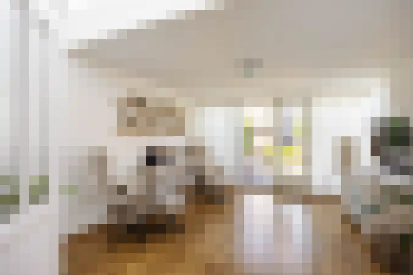 Speenkruid 23 Bedum thumbnail 6