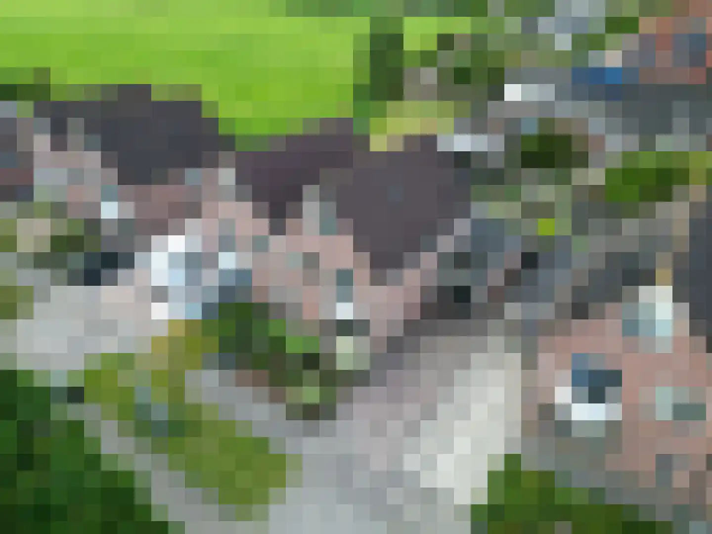 Speenkruid 23 Bedum thumbnail 62
