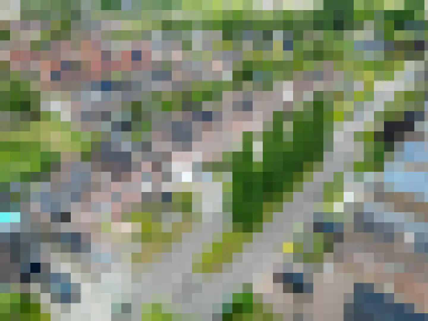 Speenkruid 23 Bedum thumbnail 63