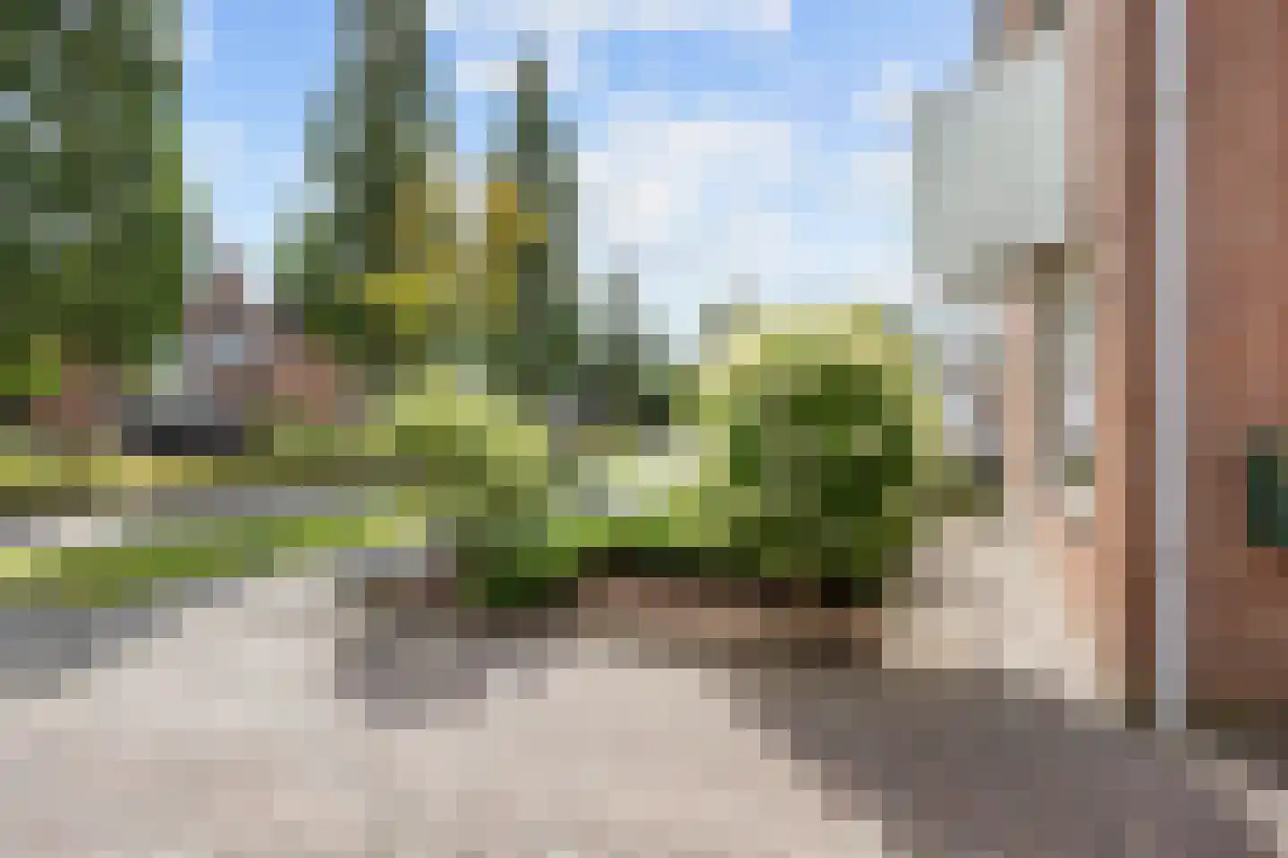 Speenkruid 23 Bedum thumbnail 65