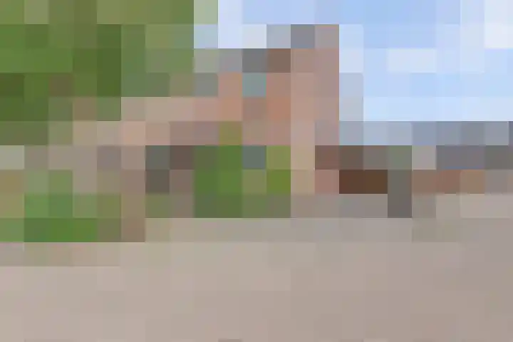 Speenkruid 23 Werkendam