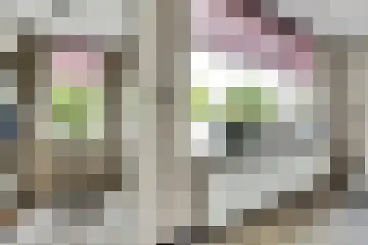 Speenkruid 23 Werkendam thumbnail 11