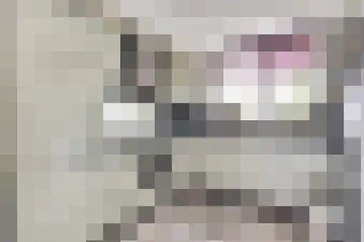 Speenkruid 23 Werkendam thumbnail 12