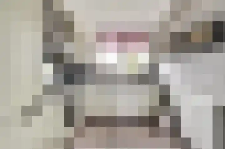 Speenkruid 23 Werkendam thumbnail 13