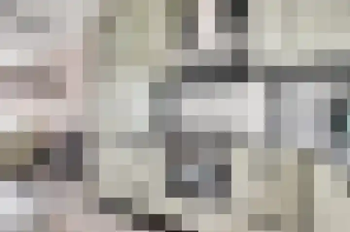 Speenkruid 23 Werkendam thumbnail 15