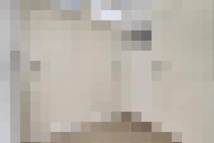 Speenkruid 23 Werkendam thumbnail 17
