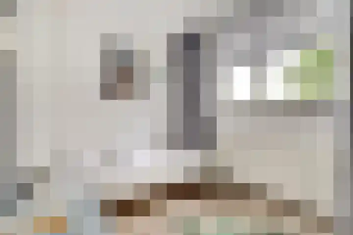 Speenkruid 23 Werkendam thumbnail 20