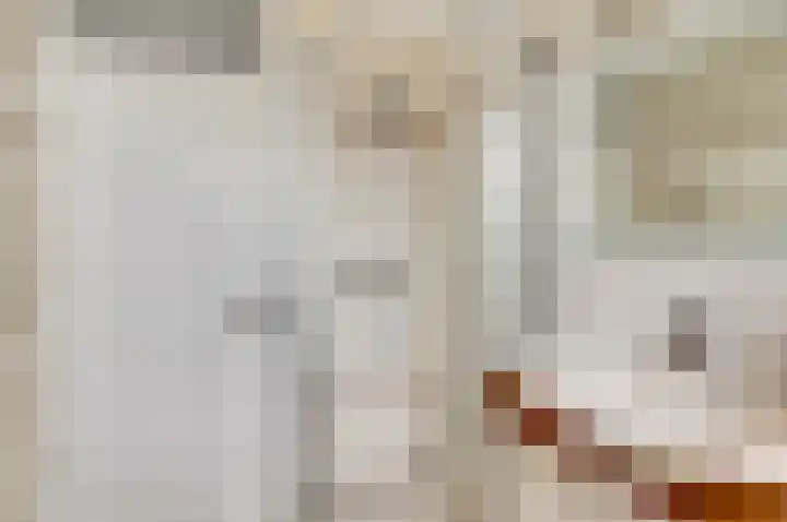 Speenkruid 23 Werkendam thumbnail 27