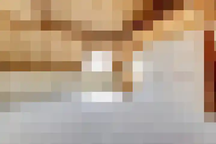 Speenkruid 23 Werkendam thumbnail 28