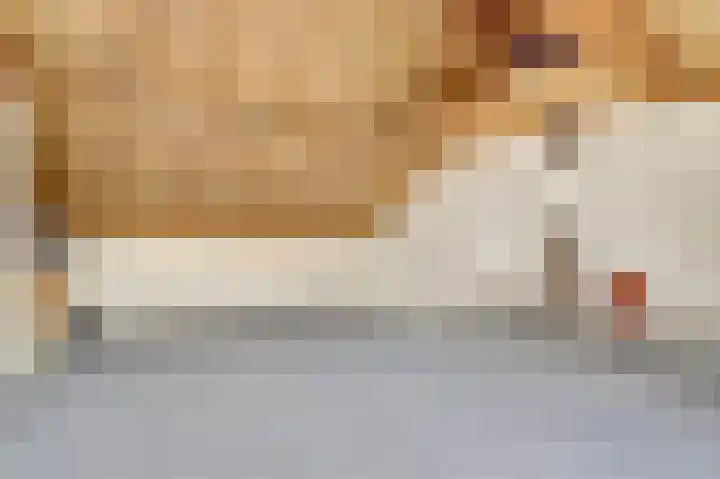 Speenkruid 23 Werkendam thumbnail 29