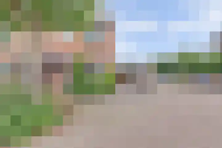Speenkruid 23 Werkendam foto 3