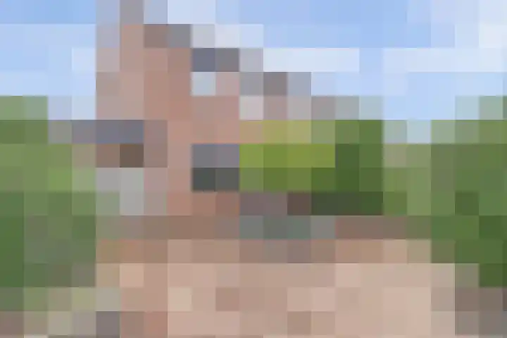 Speenkruid 23 Werkendam thumbnail 30