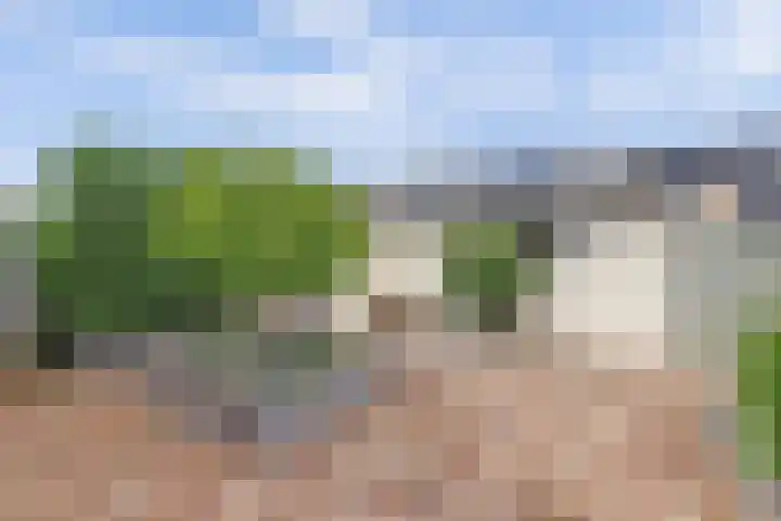 Speenkruid 23 Werkendam thumbnail 31