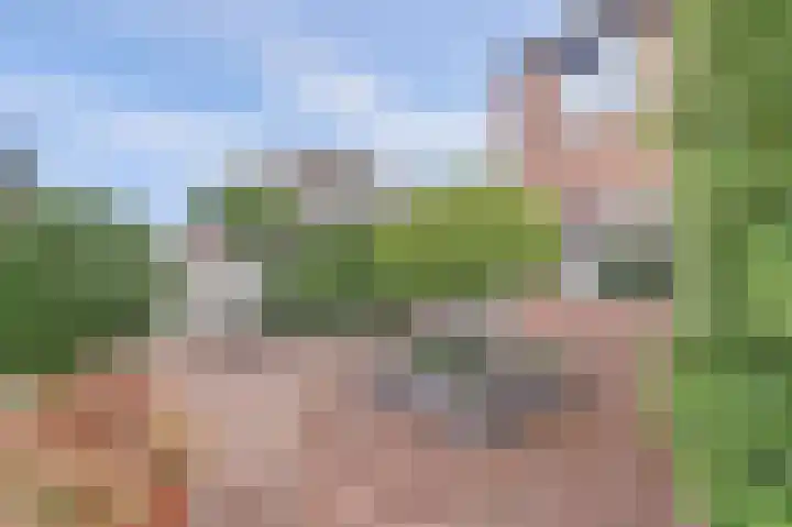 Speenkruid 23 Werkendam thumbnail 32