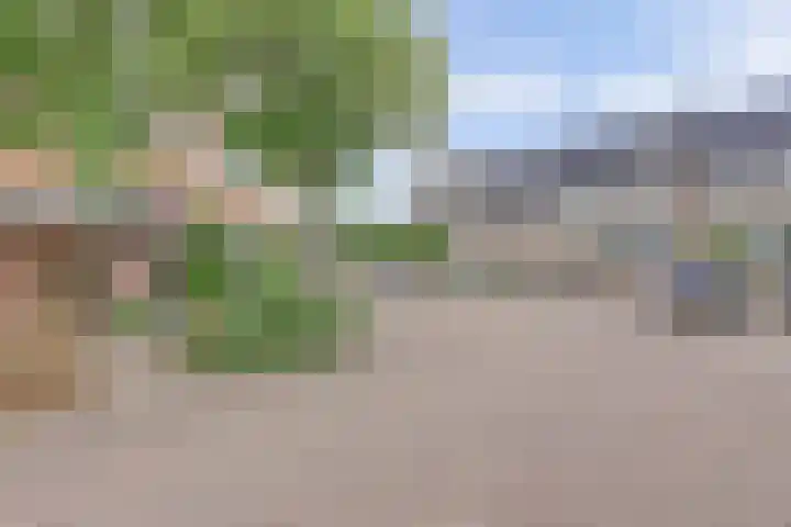 Speenkruid 23 Werkendam thumbnail 33
